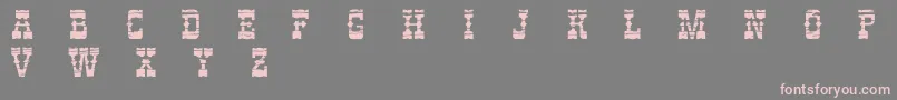 PerdidoDemo Font – Pink Fonts on Gray Background