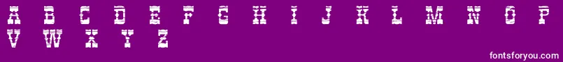 PerdidoDemo Font – White Fonts on Purple Background