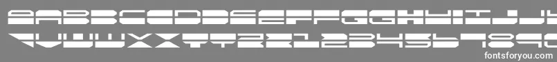 quickmarkexpand Font – White Fonts on Gray Background