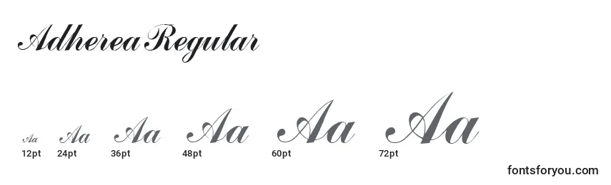 Размеры шрифта AdhereaRegular