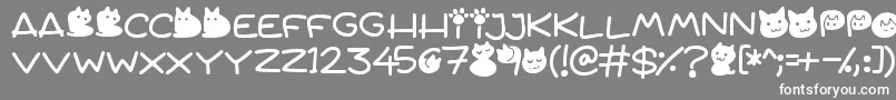 Quiet Meows-Schriftart – Weiße Schriften auf grauem Hintergrund