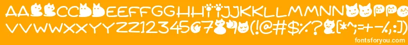 Quiet Meows Font – White Fonts on Orange Background