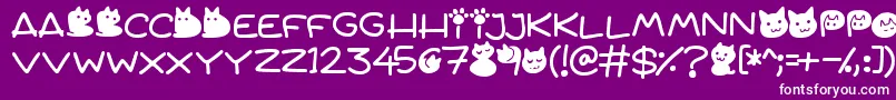 Quiet Meows Font – White Fonts on Purple Background