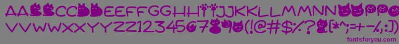 Quiet Meows Font – Purple Fonts on Gray Background