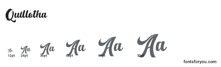 Quillotha Font Sizes