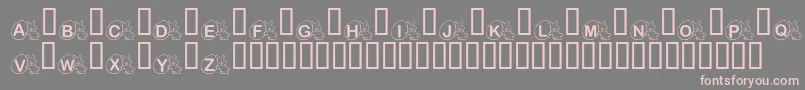 KrMr.Bunny Font – Pink Fonts on Gray Background