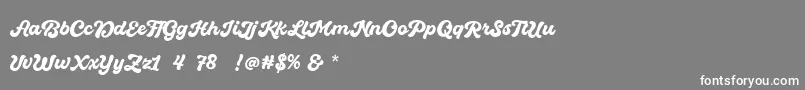 Quintal Script Bold Personal Use Font – White Fonts on Gray Background