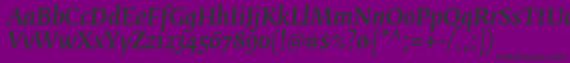 FedraserifbproMediumitalic Font – Black Fonts on Purple Background