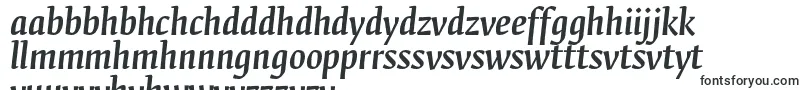 Шрифт FedraserifbproMediumitalic – шона шрифты