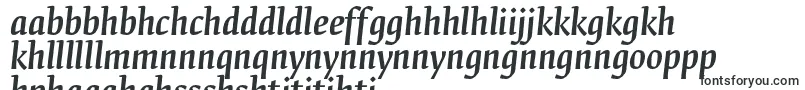 FedraserifbproMediumitalic Font – Sotho Fonts
