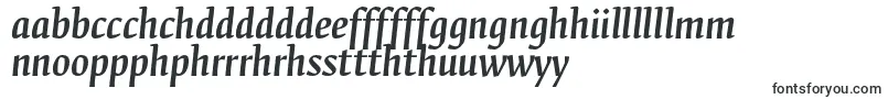 FedraserifbproMediumitalic-Schriftart – walisische Schriften