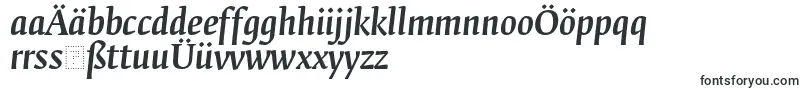 FedraserifbproMediumitalic Font – German Fonts