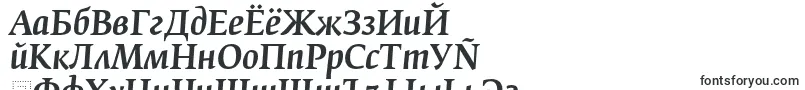 FedraserifbproMediumitalic Font – Russian Fonts