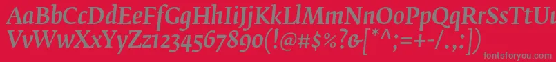 FedraserifbproMediumitalic Font – Gray Fonts on Red Background