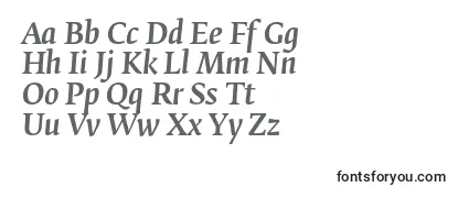 FedraserifbproMediumitalic Font