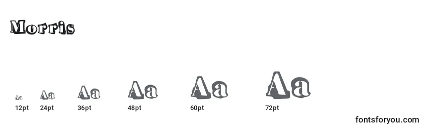 Morris Font Sizes