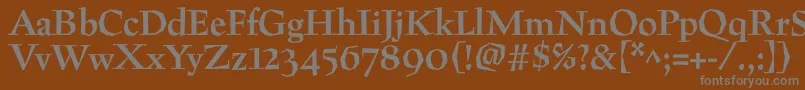 フォントPreissigBold – 茶色の背景に灰色の文字