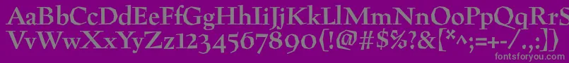 PreissigBold-Schriftart – Graue Schriften auf violettem Hintergrund