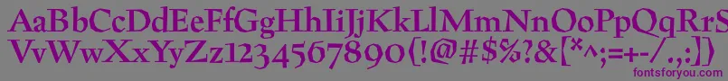 PreissigBold-fontti – violetit fontit harmaalla taustalla