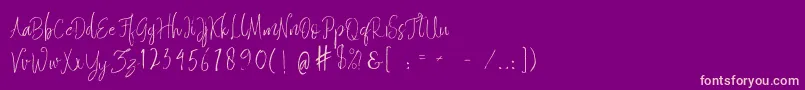 Quixotic Free Font – Pink Fonts on Purple Background