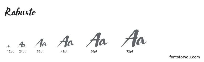 Rabusto Font Sizes