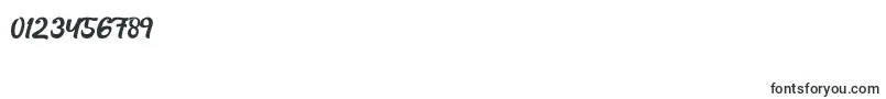 フォントRachael Script – 数字と数値のためのフォント