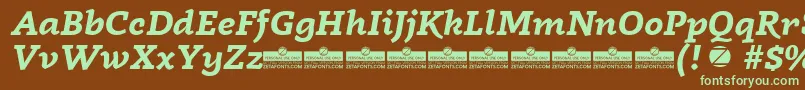 Czcionka Radcliffe Bold Italic trial – zielone czcionki na brązowym tle