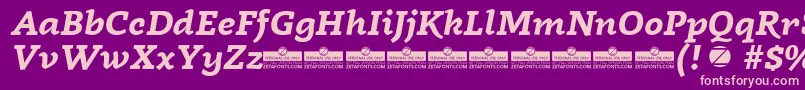 Czcionka Radcliffe Bold Italic trial – różowe czcionki na fioletowym tle