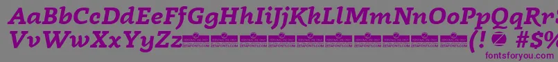 Czcionka Radcliffe Bold Italic trial – fioletowe czcionki na szarym tle