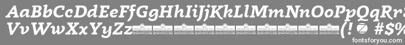 Czcionka Radcliffe Bold Italic trial – białe czcionki na szarym tle