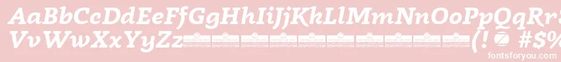 Radcliffe Bold Italic trial Font – White Fonts on Pink Background