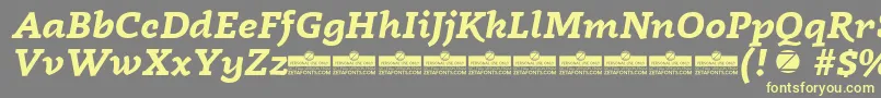 Czcionka Radcliffe Bold Italic trial – żółte czcionki na szarym tle