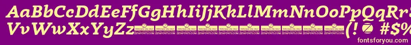 Radcliffe Bold Italic trial Font – Yellow Fonts on Purple Background