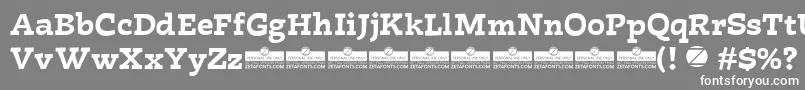 Radcliffe Casual Bold trial Font – White Fonts on Gray Background