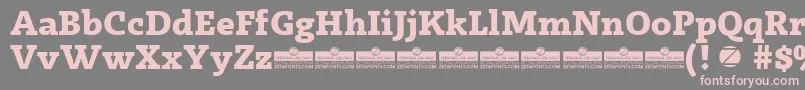 Radcliffe ExtraBold trial Font – Pink Fonts on Gray Background