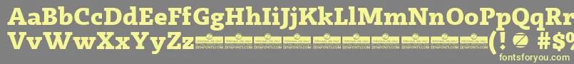 Radcliffe ExtraBold trial Font – Yellow Fonts on Gray Background