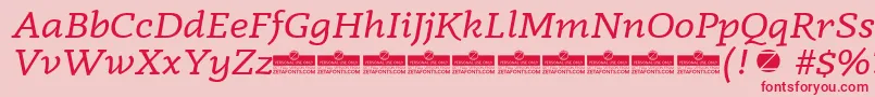 Radcliffe Italic trial Font – Red Fonts on Pink Background