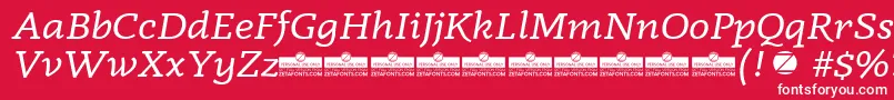 Radcliffe Italic trial Font – White Fonts on Red Background