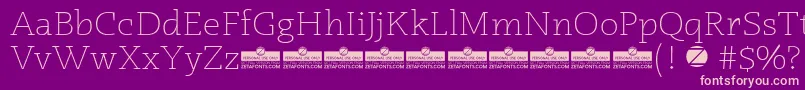 Radcliffe Light trial Font – Pink Fonts on Purple Background
