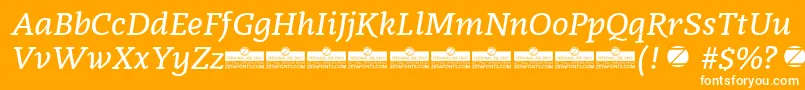 Radcliffe SemiBold Italic trial Font – White Fonts on Orange Background