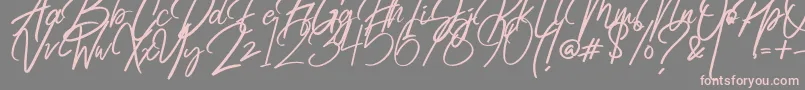 Radicalis-Schriftart – Rosa Schriften auf grauem Hintergrund