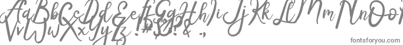 Radiga-fontti – harmaat kirjasimet valkoisella taustalla