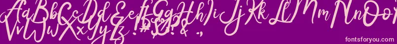 Radiga Font – Pink Fonts on Purple Background