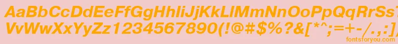 PragmaticaisocttBolditalic Font – Orange Fonts on Pink Background