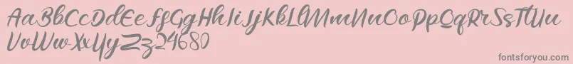 Raflesya Font – Gray Fonts on Pink Background