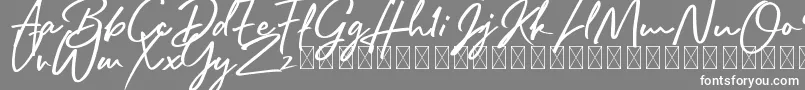 Police Rafttel Script DEMO – polices blanches sur fond gris