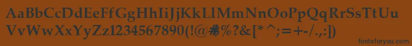 PalatinoBold Font – Black Fonts on Brown Background