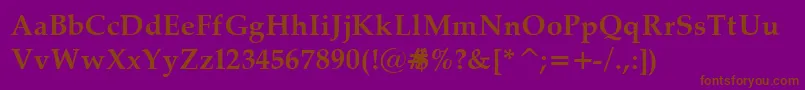 PalatinoBold Font – Brown Fonts on Purple Background