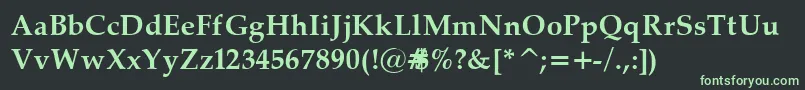 PalatinoBold Font – Green Fonts on Black Background