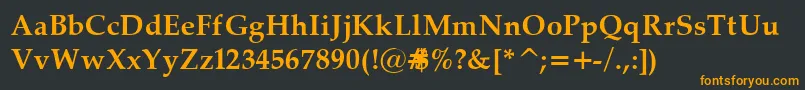 フォントPalatinoBold – 黒い背景にオレンジの文字